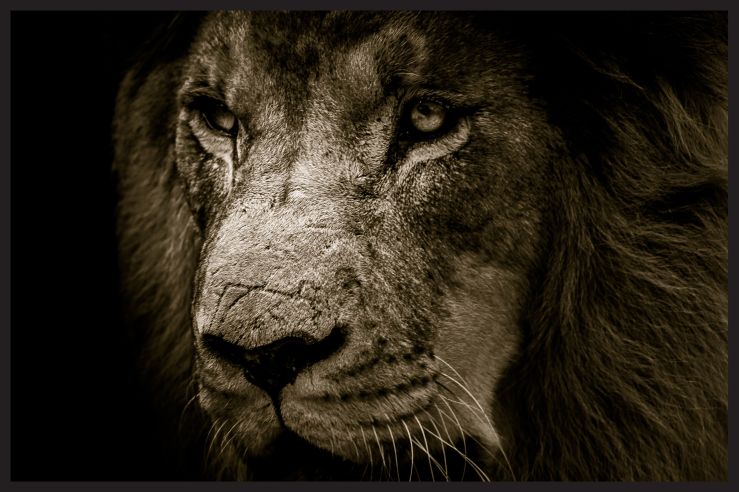 From Strength to&nbsp;Strength